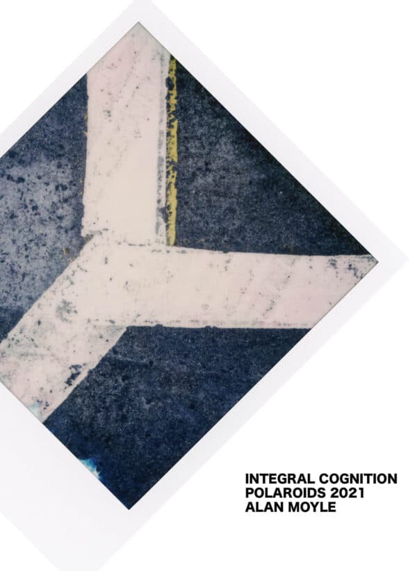 Integral Cognition - Limited Edition Book