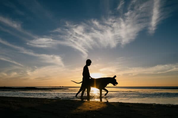 The $25 - 25 year portrait special - Image 5