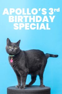 Apollo's 3rd Birthday Special!