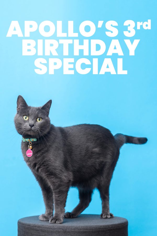 Apollo's 3rd Birthday Special!